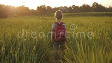 放学<strong>回家路</strong>上，稻田绿草中的孩子。